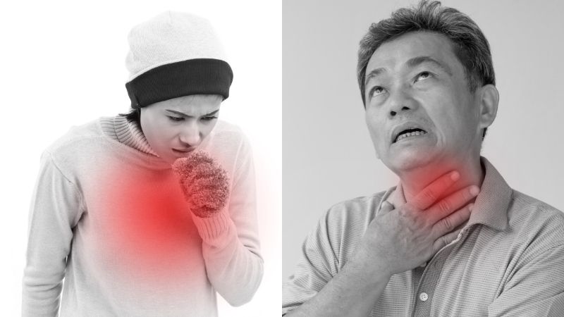 Ho đờm và viêm họng khác nhau thế nào? Phân biệt đúng để chăm sóc đường hô hấp hiệu quả